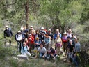 A large group
