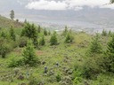 Above Osoyoos