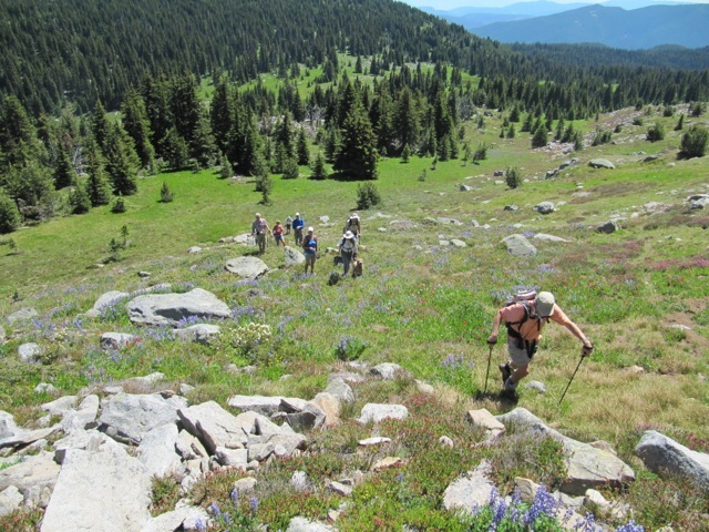 Ascending Sheeprock