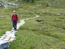 Balu Pass 10