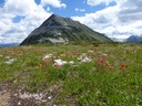 Balu Pass 4