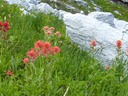 Balu Pass 9