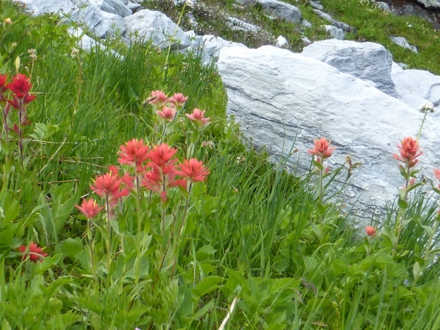 Balu Pass 9