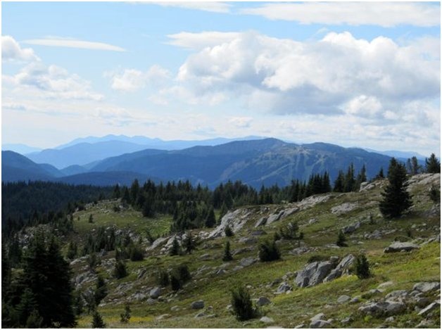 Beaconsfield from Sheep Rock