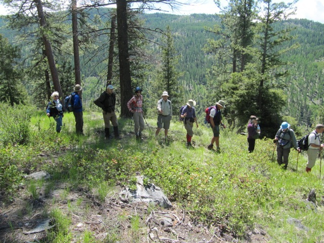 Canyon Trail 1