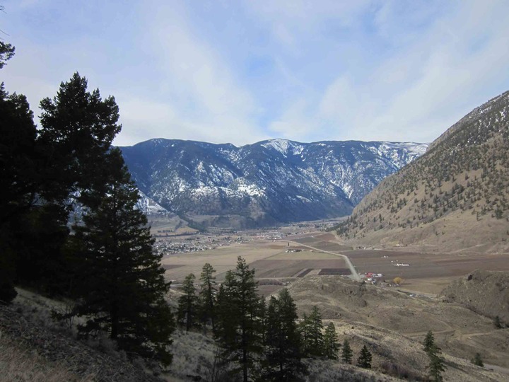 Cawston