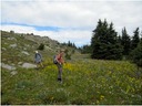 Down from Sheep Rock
