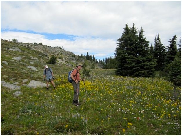 Down from Sheep Rock