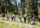 Down on Jose B trail