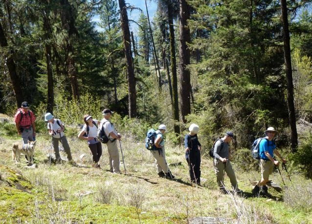 Down on Jose B trail