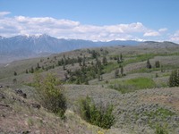 DSCN3173 1