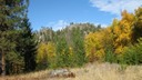 Fall colour