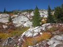 Fall colour