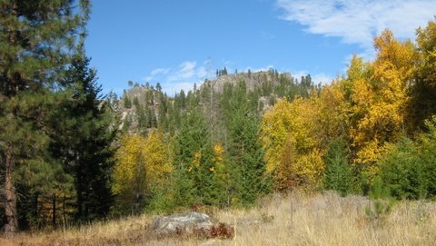 Fall colour