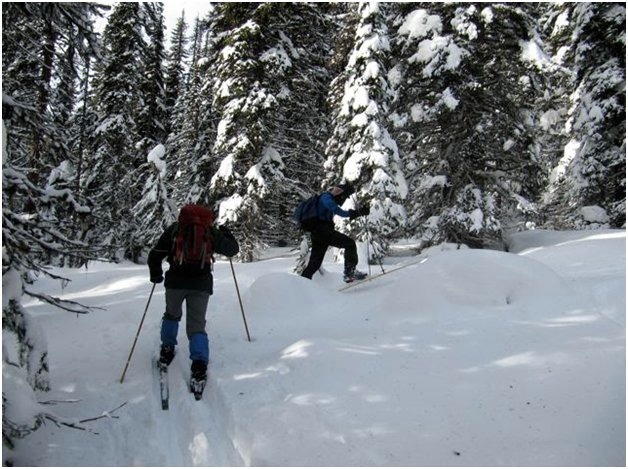 Feb ski - 1