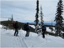 Feb ski - 2