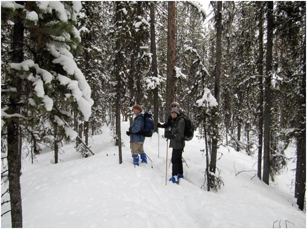 Feb ski - 5