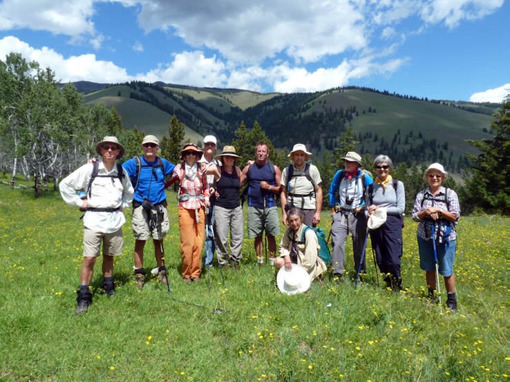 Gathered in the meadows
