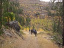 Gillies Creek Road