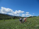 Grasslands ascent