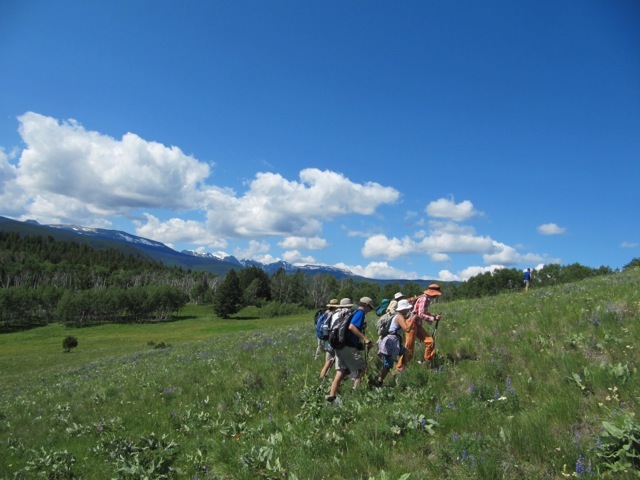 Grasslands ascent