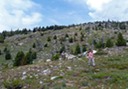 Heading down