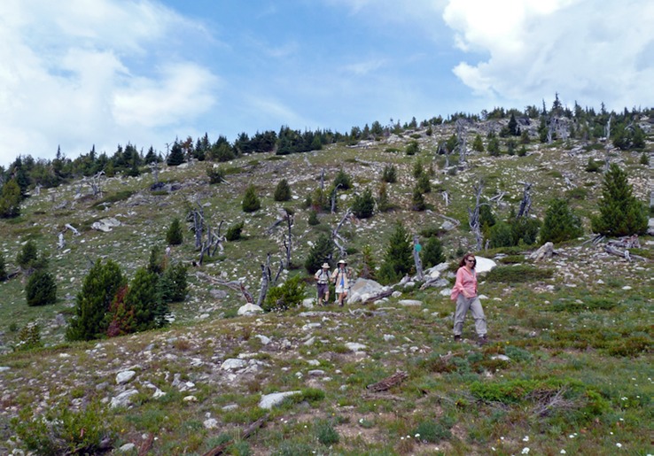 Heading down