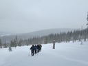 IMG_3701