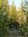 Kilometer 11.4 - 8