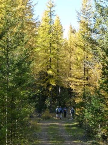 Kilometer 11.4 - 8