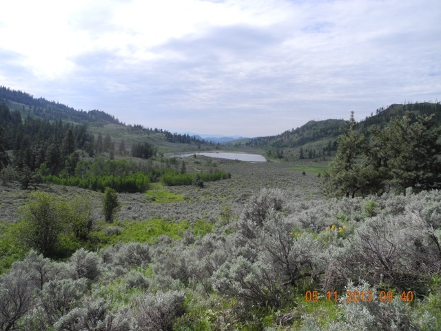 Lilpoola Lake