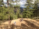 long steep grassy slope