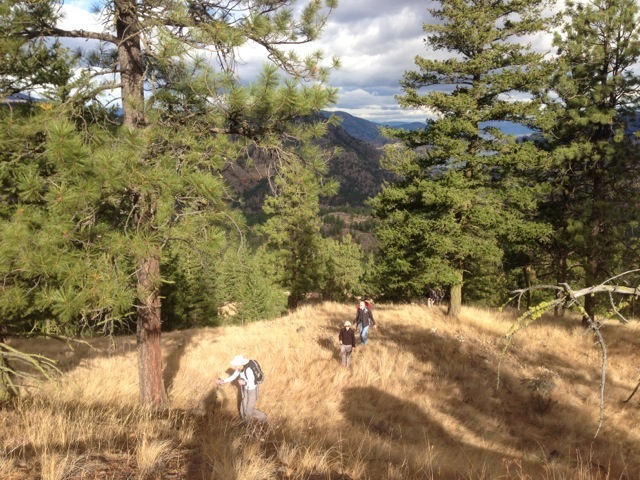 long steep grassy slope