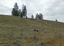 Mount Eneas 1