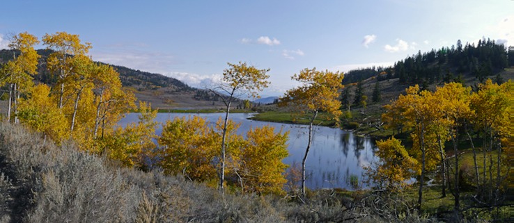 Osoyoos Grasslands  11