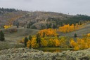 Osoyoos Grasslands  2
