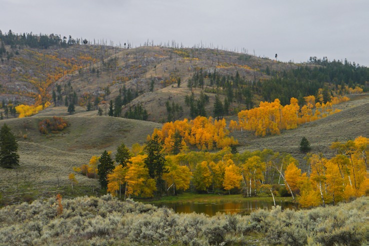 Osoyoos Grasslands  2