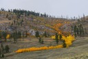 Osoyoos Grasslands  3
