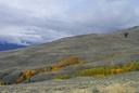 Osoyoos Grasslands  5