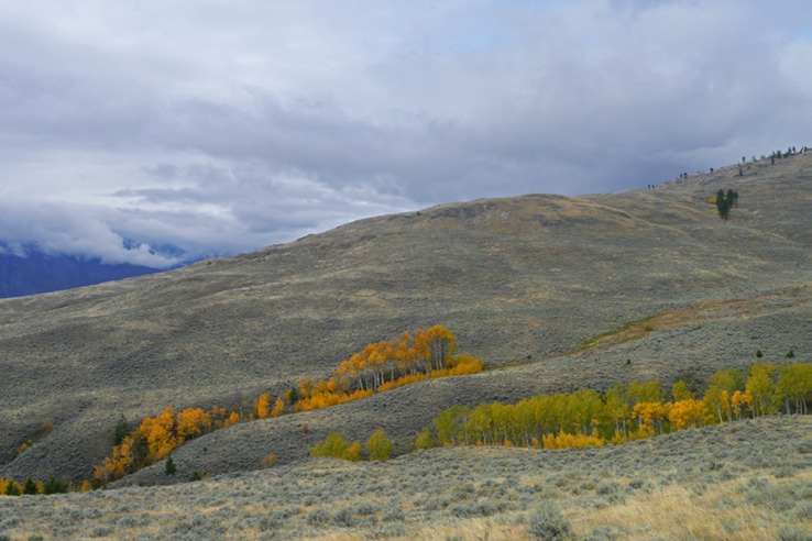 Osoyoos Grasslands  5