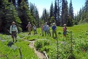 Part of the group