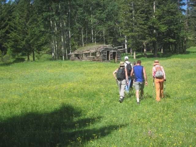 Pastoral cabin