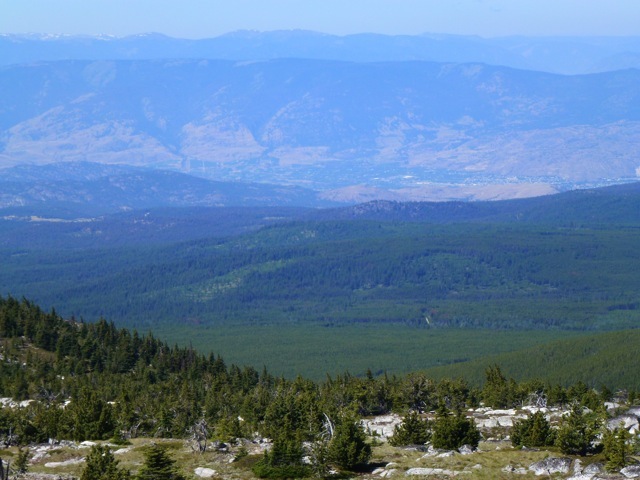 Purple hills
