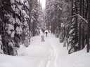 Reed Lake Road - 4