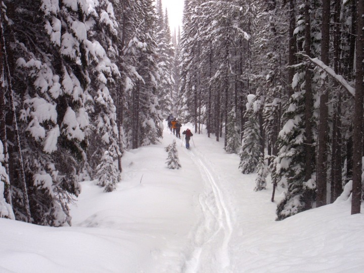 Reed Lake Road - 4