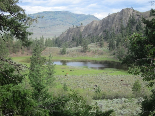 Seasonal pond