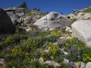 Sheep Rock ascent