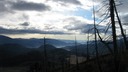 Silver skies
