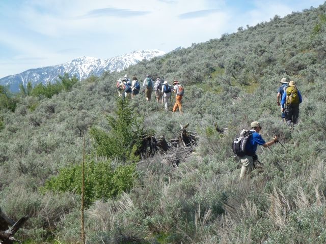 Stepping through the sagebrush