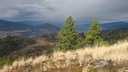 Sunlit slope